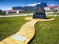 钦州天华矿业集团