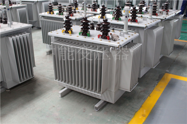 钦州S22-100KVA/10KV/0.4KV变压器